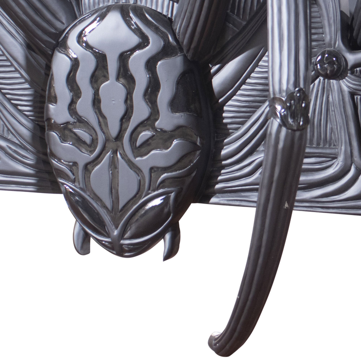 The closeup of the arachnid bed spider head