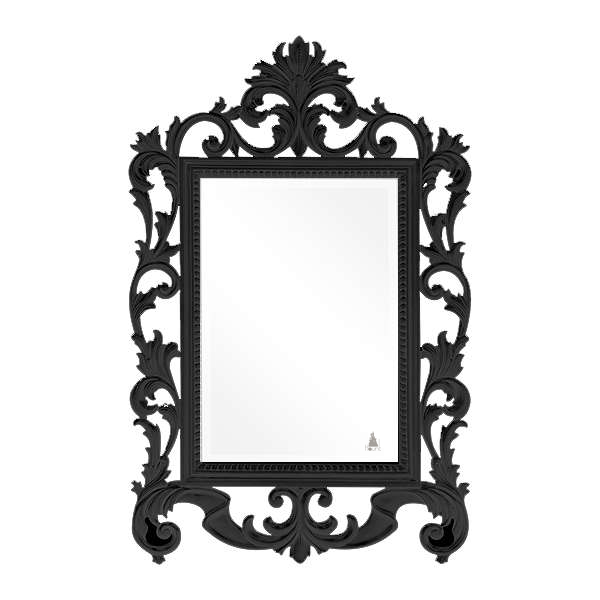 Poison Ivy Mirror, a tall rectangular wall mirror with a strong inner frame and dramatic open carved scrollwork around the sides