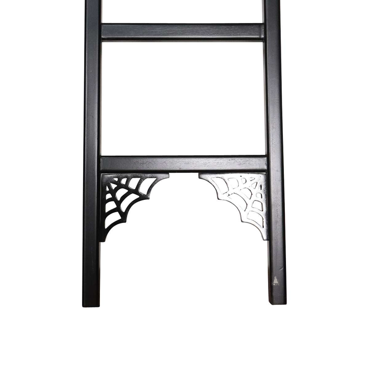 Another view of the Queen of the Damned Webbed Bookcase, a tall black gothic bookcase with a red interior