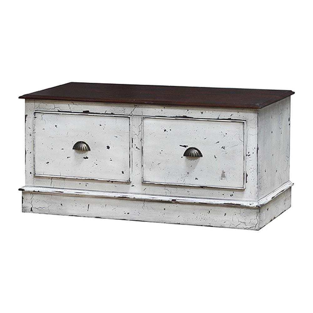 Relic Blanket Box, a low storage chest with a distressed white body, dark timber top and two framed front panels